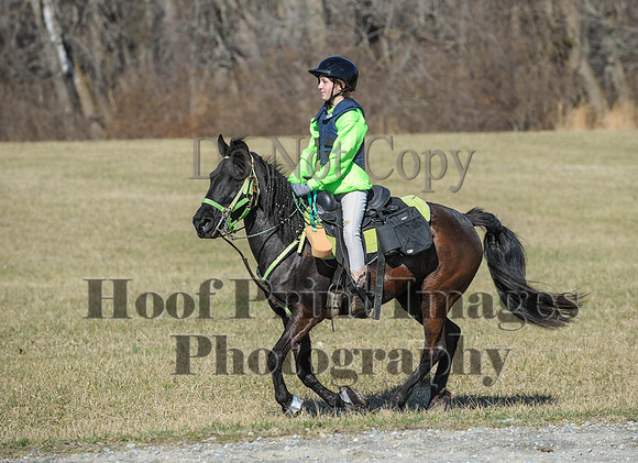 Chesapeake(4-4-15)0317