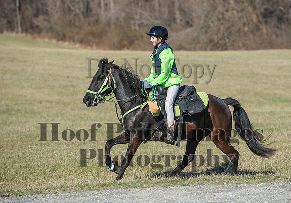 Chesapeake(4-4-15)0318