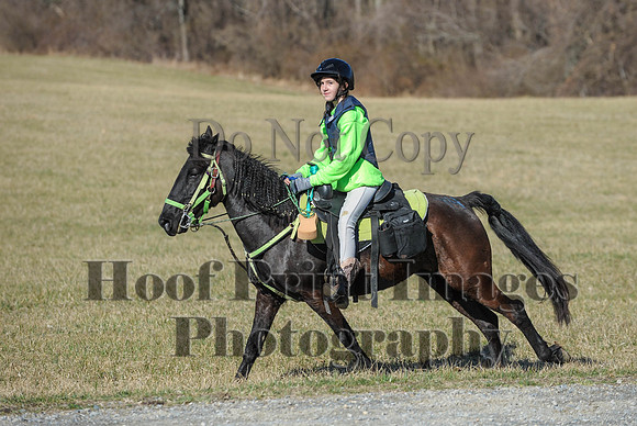Chesapeake(4-4-15)0319
