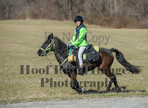 Chesapeake(4-4-15)0320