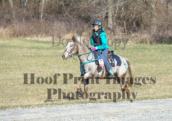 Chesapeake(4-4-15)0322
