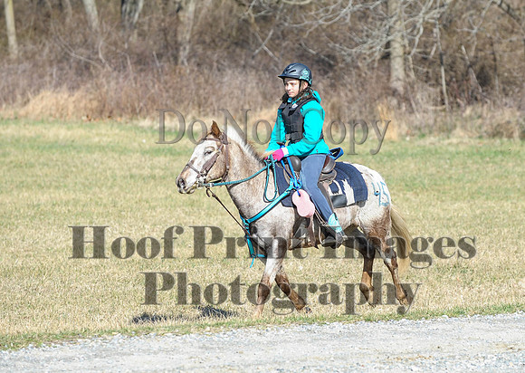 Chesapeake(4-4-15)0323