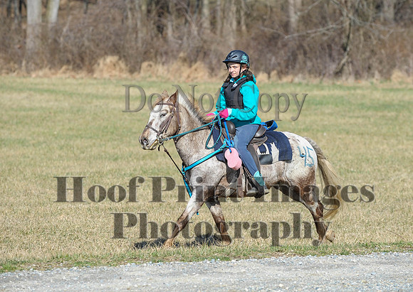 Chesapeake(4-4-15)0325