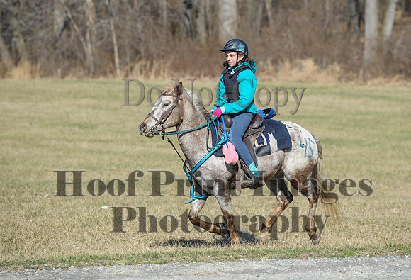 Chesapeake(4-4-15)0326