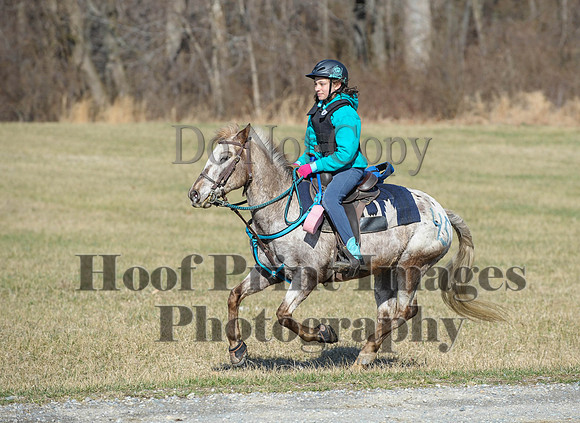 Chesapeake(4-4-15)0327