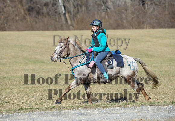 Chesapeake(4-4-15)0328