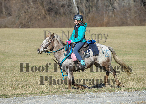 Chesapeake(4-4-15)0329