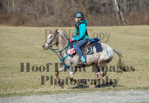 Chesapeake(4-4-15)0330