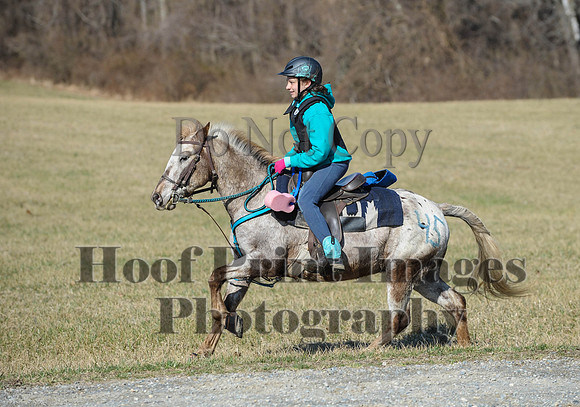 Chesapeake(4-4-15)0331