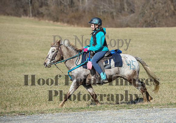 Chesapeake(4-4-15)0332