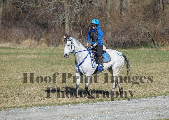 Chesapeake(4-4-15)0333