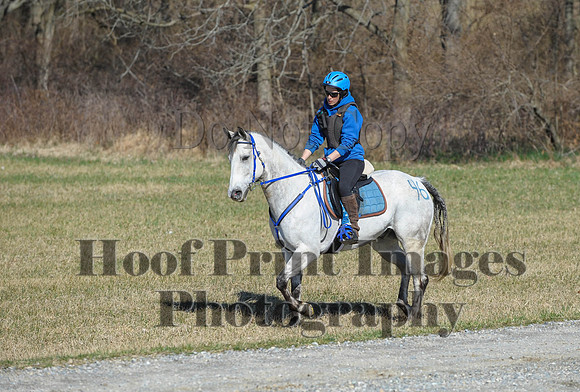 Chesapeake(4-4-15)0334