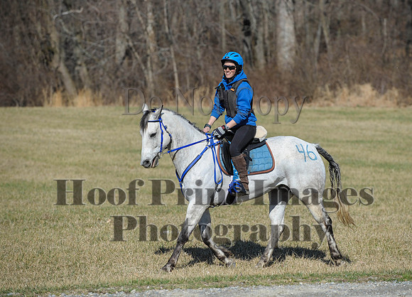 Chesapeake(4-4-15)0335
