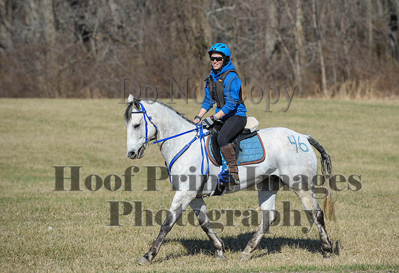 Chesapeake(4-4-15)0337