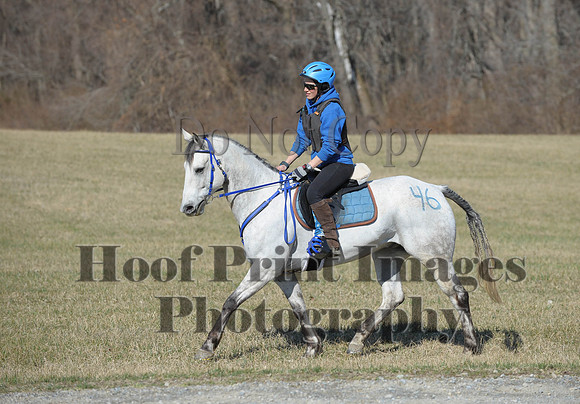 Chesapeake(4-4-15)0339
