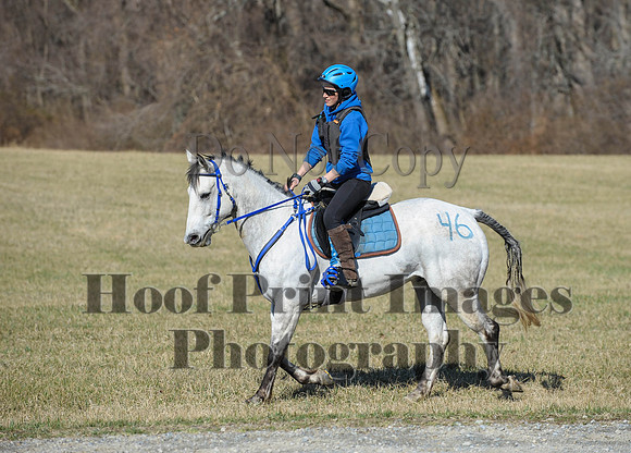 Chesapeake(4-4-15)0340