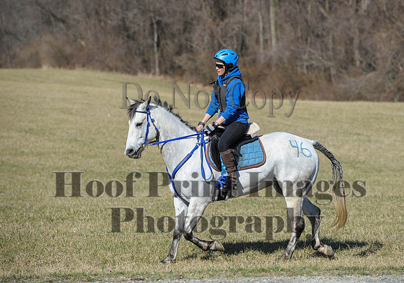 Chesapeake(4-4-15)0341