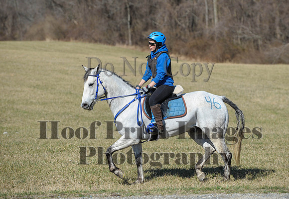 Chesapeake(4-4-15)0342