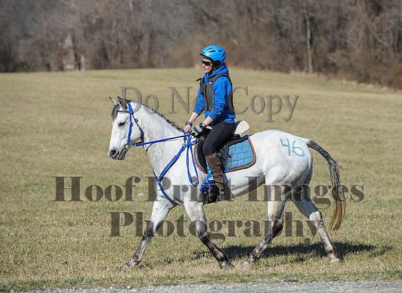 Chesapeake(4-4-15)0343