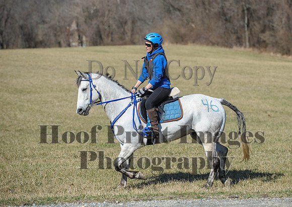 Chesapeake(4-4-15)0344