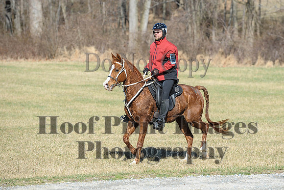 Chesapeake(4-4-15)0345