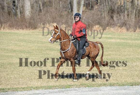Chesapeake(4-4-15)0346