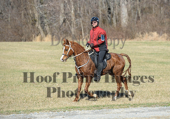 Chesapeake(4-4-15)0347