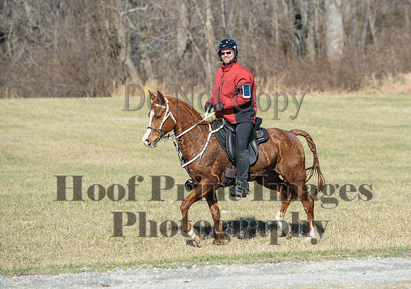 Chesapeake(4-4-15)0348