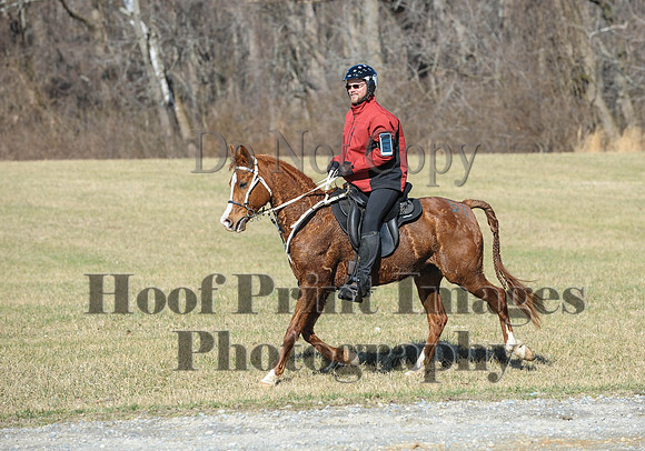Chesapeake(4-4-15)0349