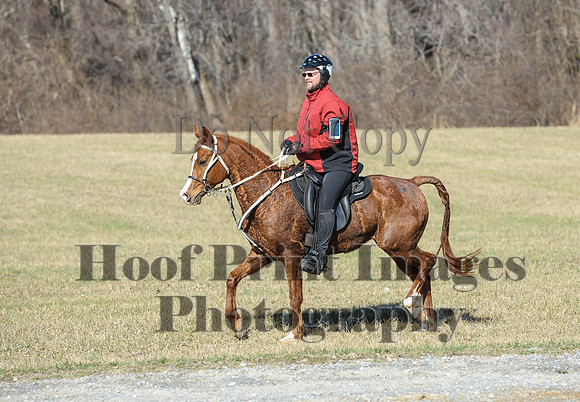 Chesapeake(4-4-15)0350