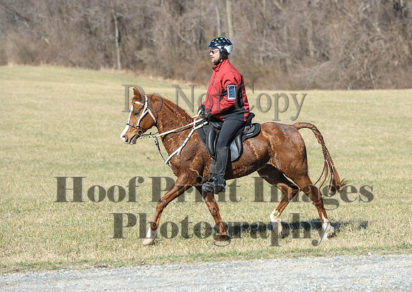 Chesapeake(4-4-15)0351