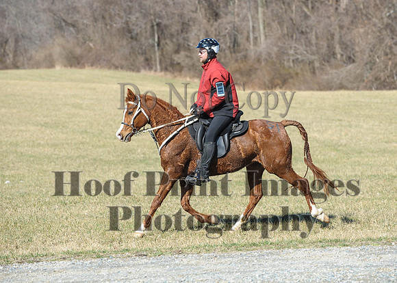 Chesapeake(4-4-15)0352