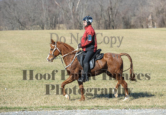 Chesapeake(4-4-15)0353