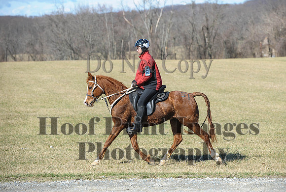 Chesapeake(4-4-15)0354