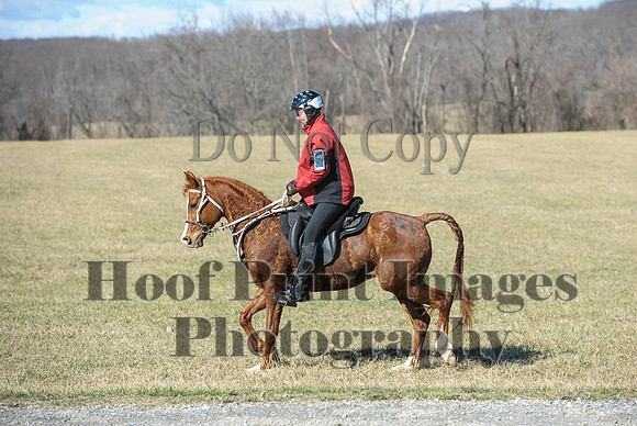 Chesapeake(4-4-15)0355
