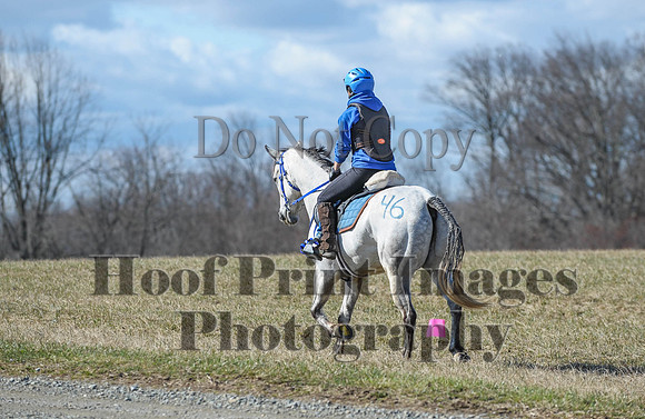 Chesapeake(4-4-15)0356