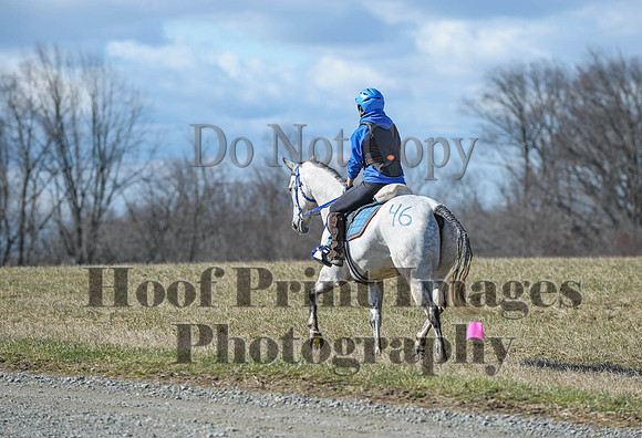 Chesapeake(4-4-15)0357