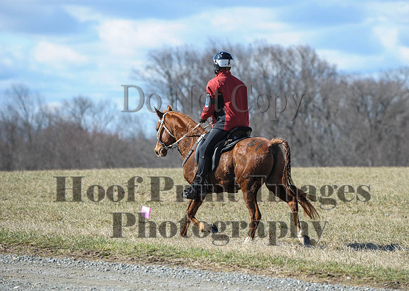 Chesapeake(4-4-15)0358