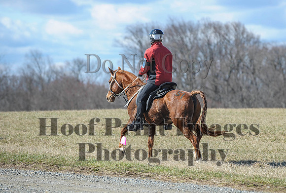 Chesapeake(4-4-15)0359