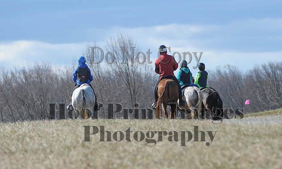 Chesapeake(4-4-15)0360