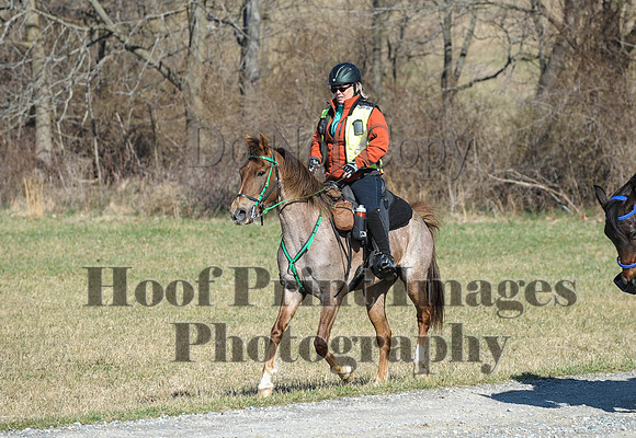 Chesapeake(4-4-15)0365