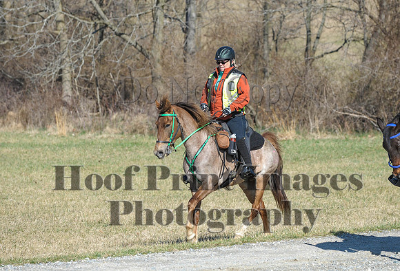 Chesapeake(4-4-15)0366