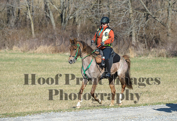 Chesapeake(4-4-15)0367