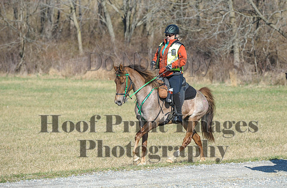 Chesapeake(4-4-15)0368