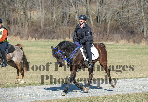 Chesapeake(4-4-15)0369