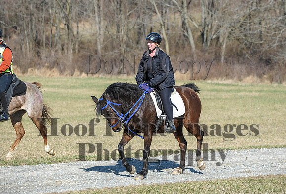 Chesapeake(4-4-15)0370