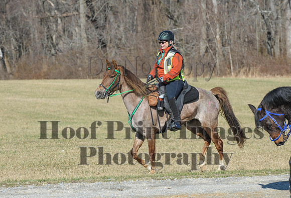 Chesapeake(4-4-15)0371