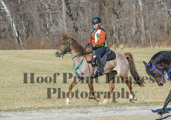 Chesapeake(4-4-15)0372