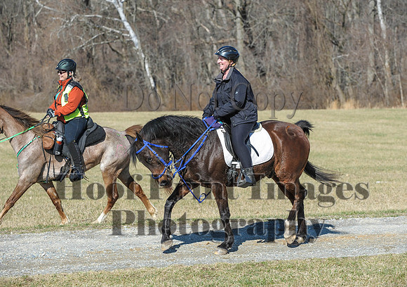 Chesapeake(4-4-15)0373