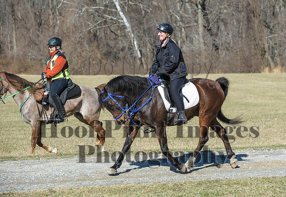 Chesapeake(4-4-15)0374
